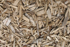 biomass boilers Lower Threapwood